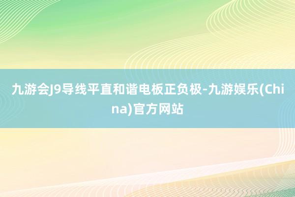 九游会J9导线平直和谐电板正负极-九游娱乐(China)官方网站