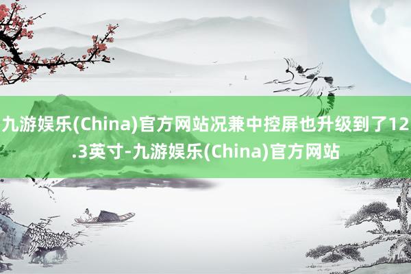 九游娱乐(China)官方网站况兼中控屏也升级到了12.3英寸-九游娱乐(China)官方网站