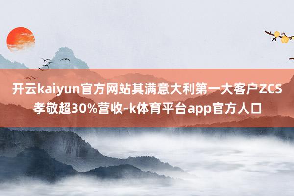 开云kaiyun官方网站其满意大利第一大客户ZCS孝敬超30%营收-k体育平台app官方人口