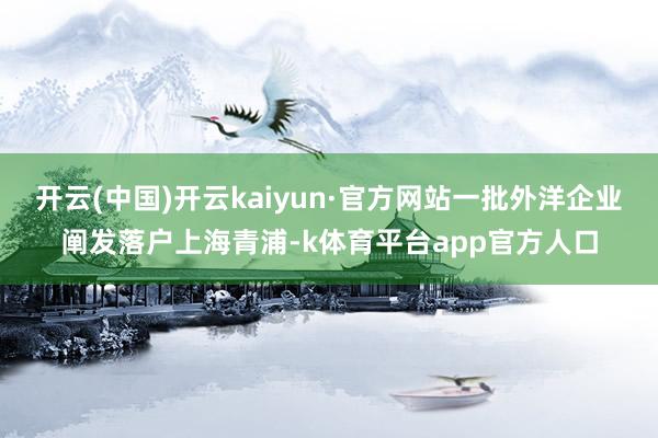 开云(中国)开云kaiyun·官方网站一批外洋企业阐发落户上海青浦-k体育平台app官方人口