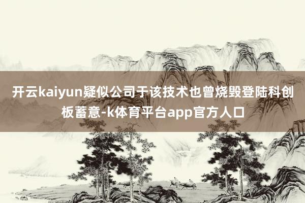 开云kaiyun疑似公司于该技术也曾烧毁登陆科创板蓄意-k体育平台app官方人口