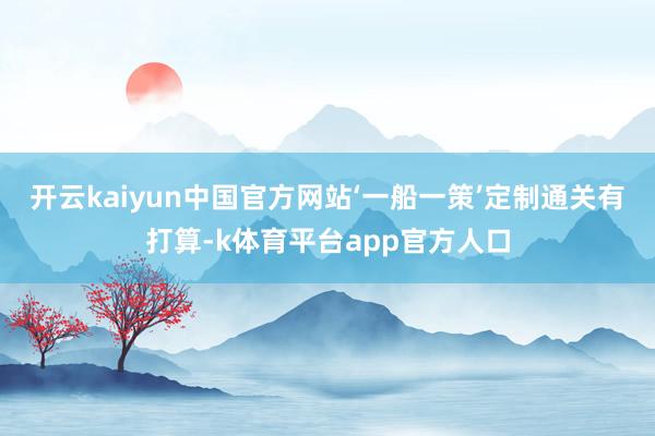 开云kaiyun中国官方网站‘一船一策’定制通关有打算-k体育平台app官方人口