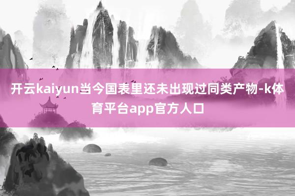 开云kaiyun当今国表里还未出现过同类产物-k体育平台app官方人口