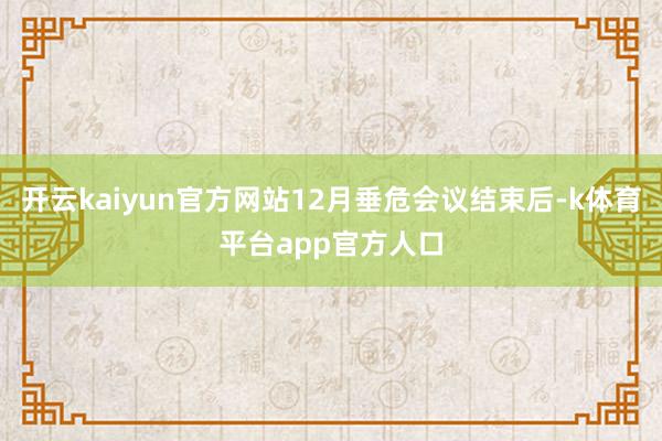 开云kaiyun官方网站12月垂危会议结束后-k体育平台app官方人口