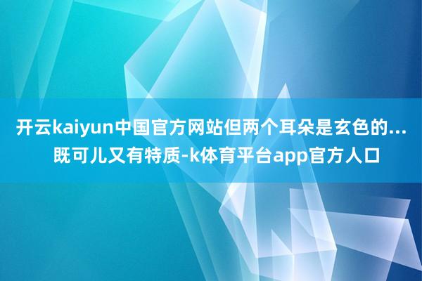 开云kaiyun中国官方网站但两个耳朵是玄色的...  既可儿又有特质-k体育平台app官方人口