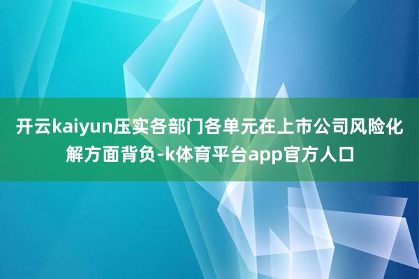 开云kaiyun压实各部门各单元在上市公司风险化解方面背负-k体育平台app官方人口